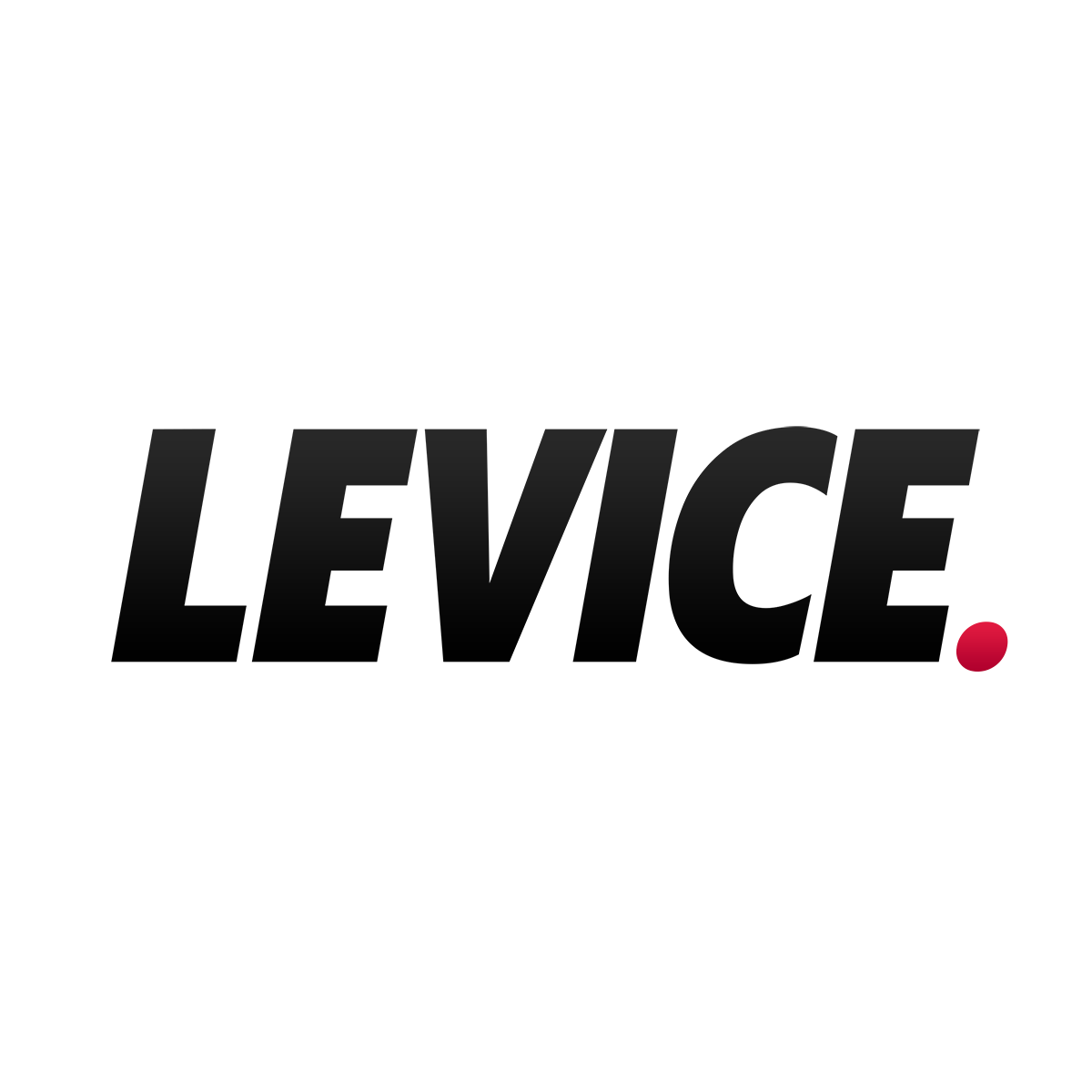 logo Levice